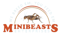 MiniBeasts Enterprises logo